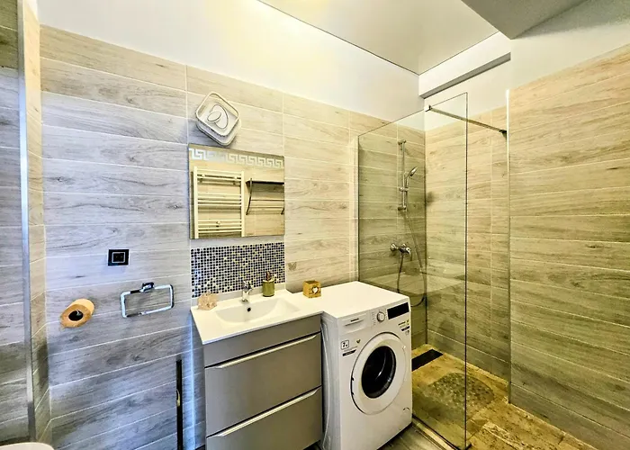 6 Persoane * Navodari